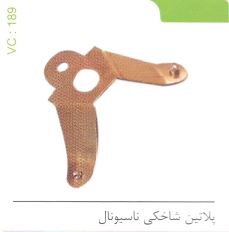 پلاتین شاخکی ناسیونال کد 189