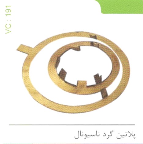 پلاتین گرد ناسیونال کد 191