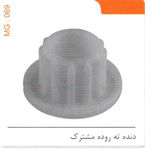 دنده ته روده مشترک MG 069